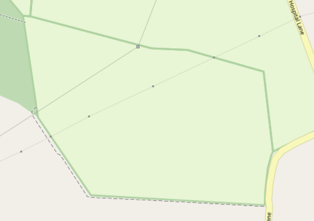 linear hedge shown as area by mistake